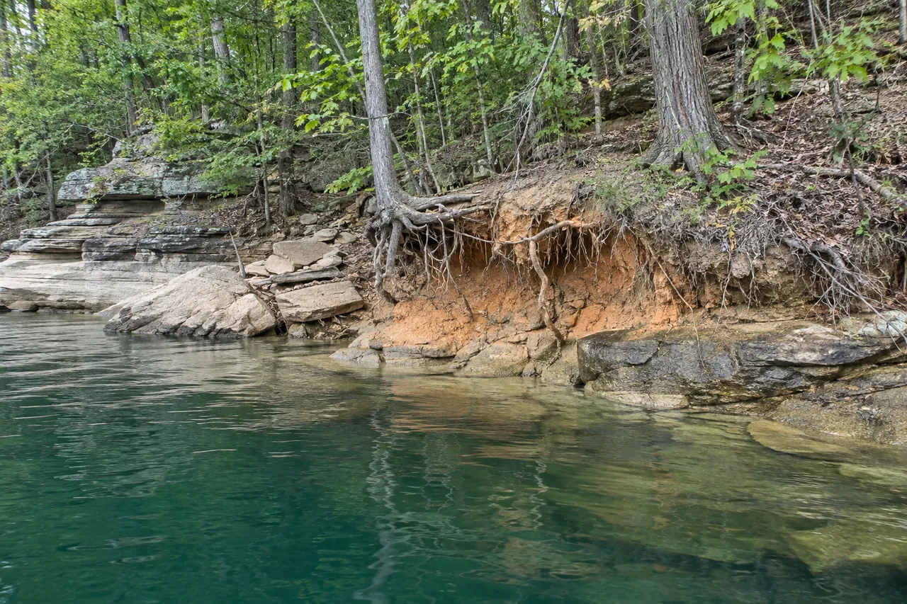 An undercut lake bank with exposed tree roots hanging over a cut face of reddish sandy clay at the waterline