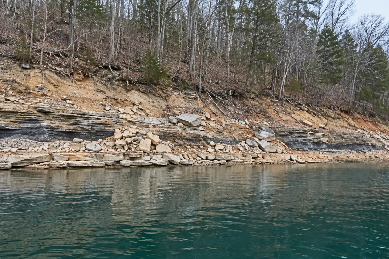 A steep lake bank in winter with several feet of bare rock and clay showing between the tree line and the lowered water